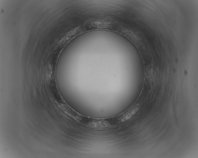 X0000081350752200702020114