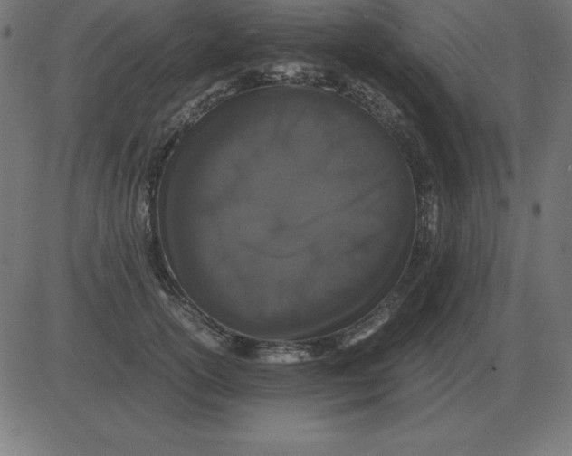 X0000081350754200702020114