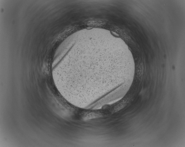 X0000081350755200702020114