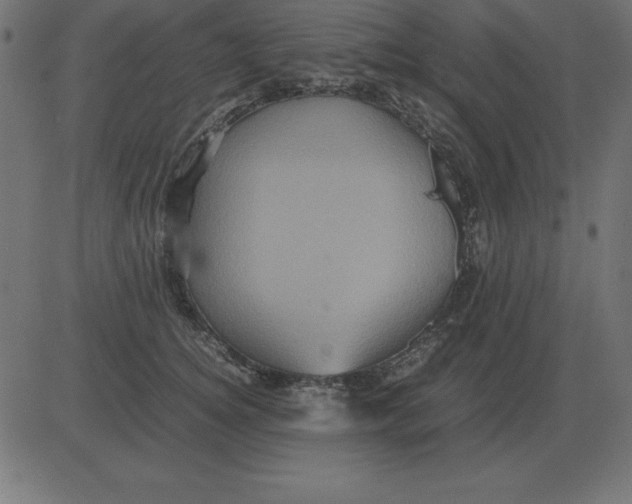 X0000081350756200702020114