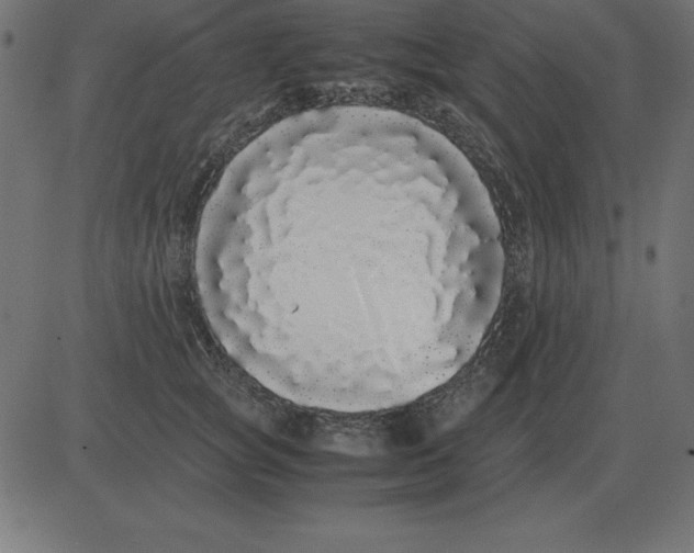 X0000081350757200702020114