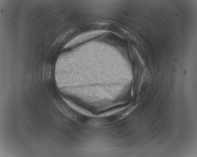 X0000081350758200702020114