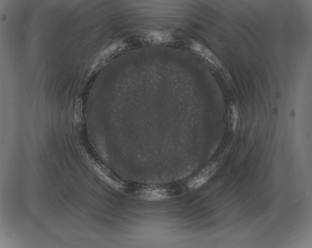 X0000081350760200702020114