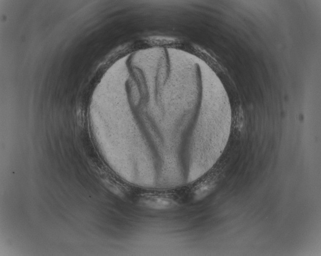 X0000081350763200702020114