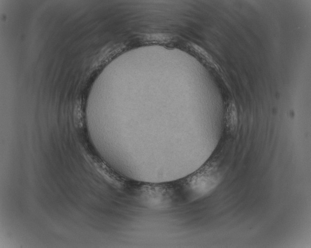 X0000081350764200702020114