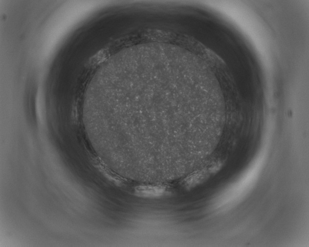 X0000081350765200702020114