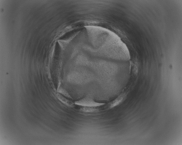 X0000081350766200702020114