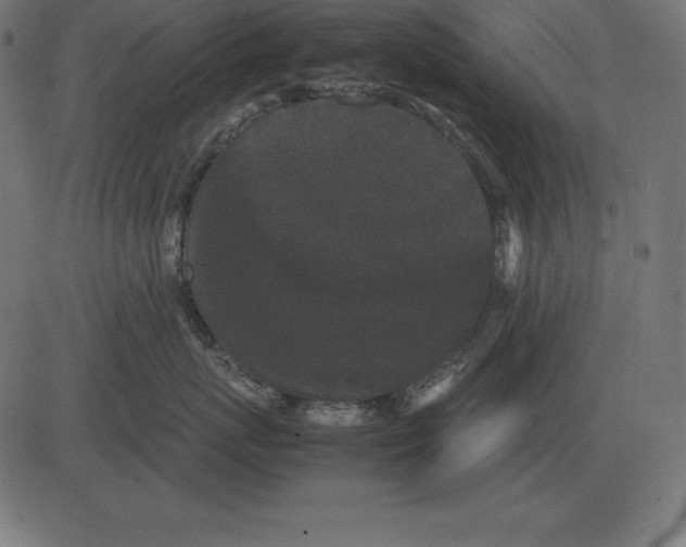 X0000081350767200702020114