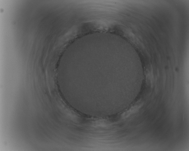 X0000081350769200702020114