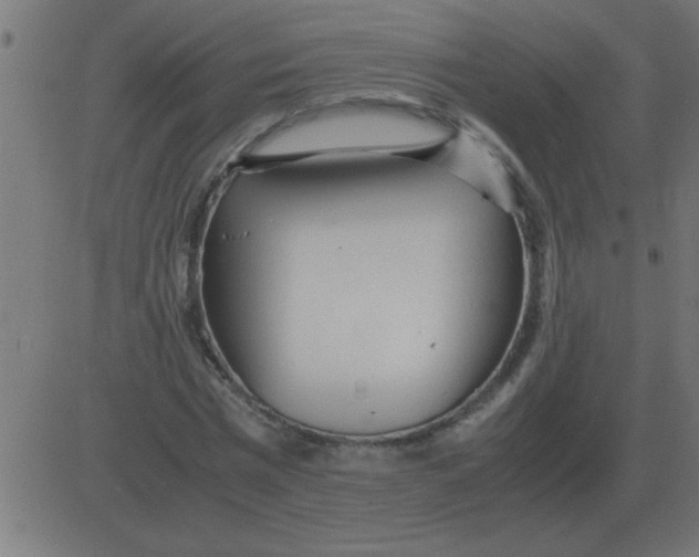 X0000081350777200702020113
