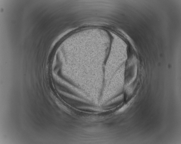 X0000081350779200702020113