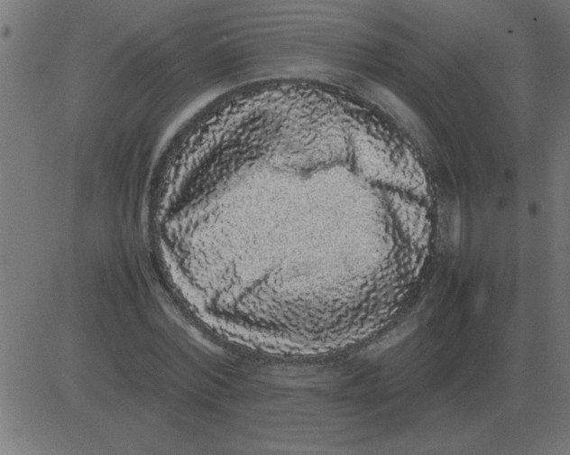 X0000081350780200702020113