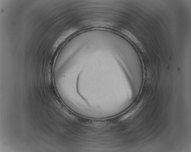 X0000081350782200702020113