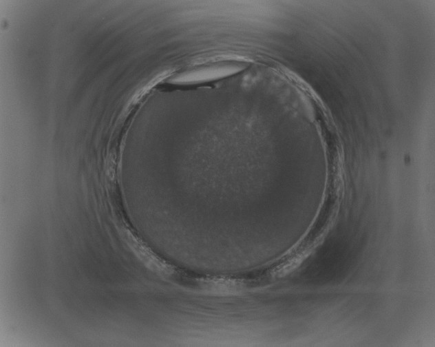 X0000081350785200702020113