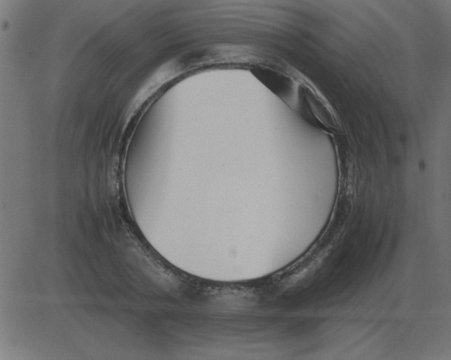 X0000081350786200702020113