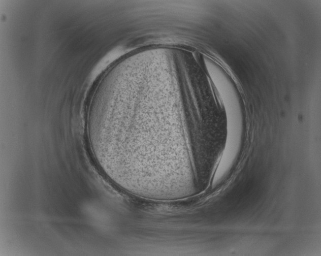X0000081350787200702020113