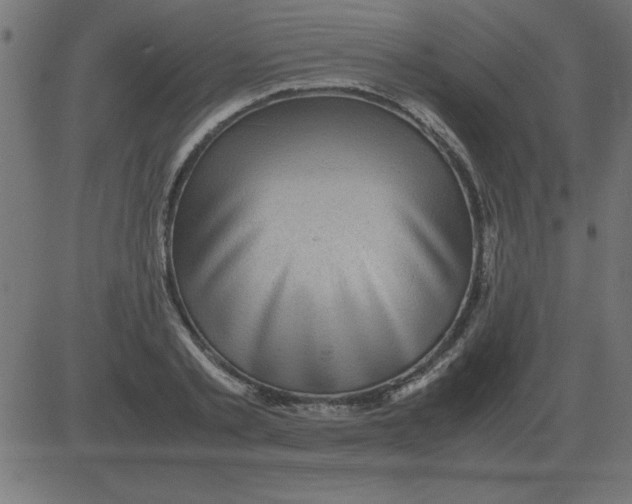 X0000081350789200702020113