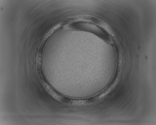 X0000081350793200702020113
