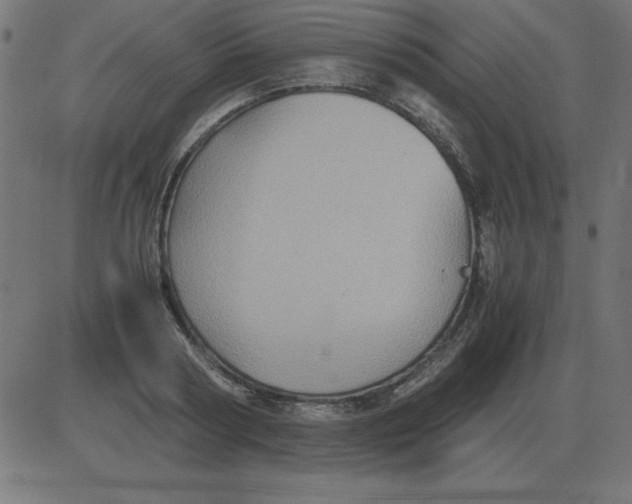 X0000081350794200702020113