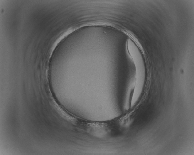 X0000081350805200702020113