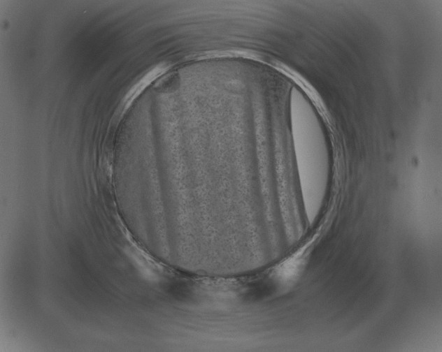 X0000081350809200702020113