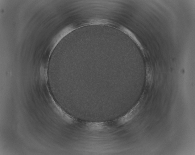 X0000081350810200702020113