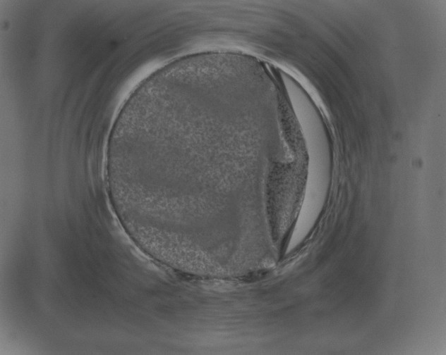 X0000081350815200702020113