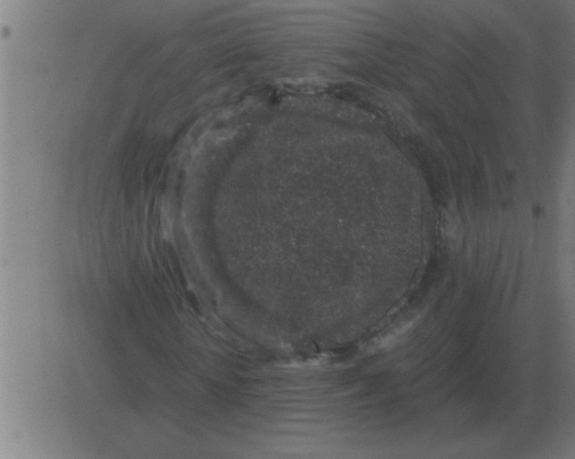 X0000081350818200702020112