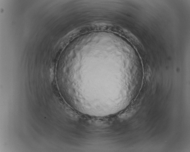 X0000081350821200702020112