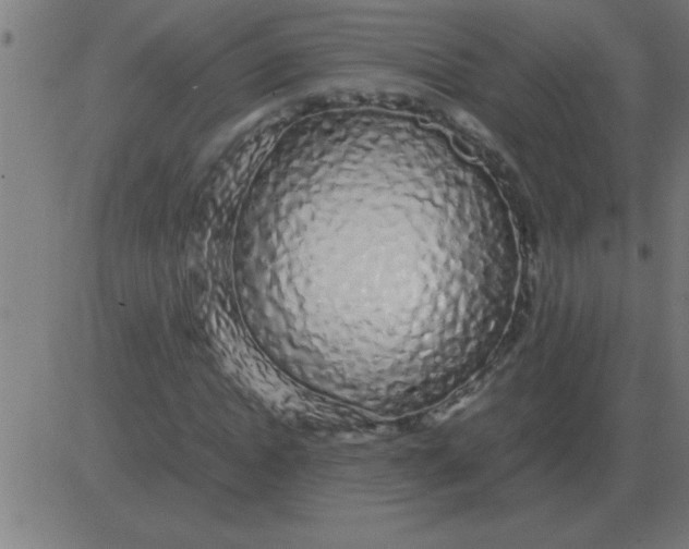 X0000081350822200702020112