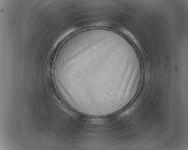 X0000081350827200702020112