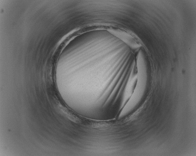 X0000081350830200702020112
