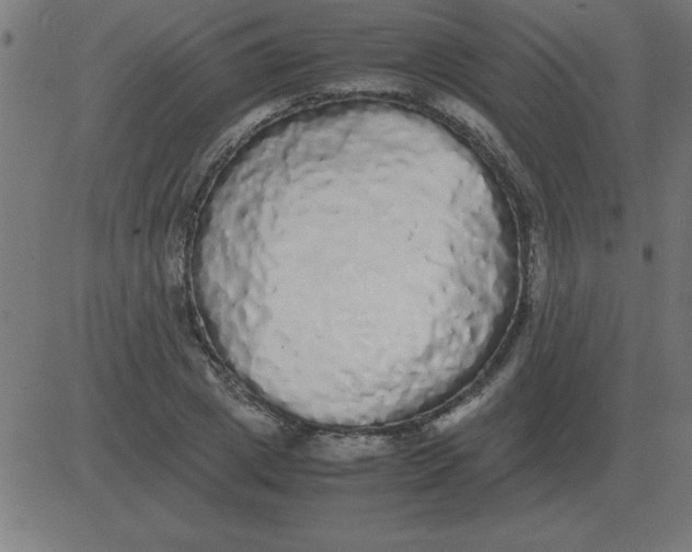 X0000081350833200702020112