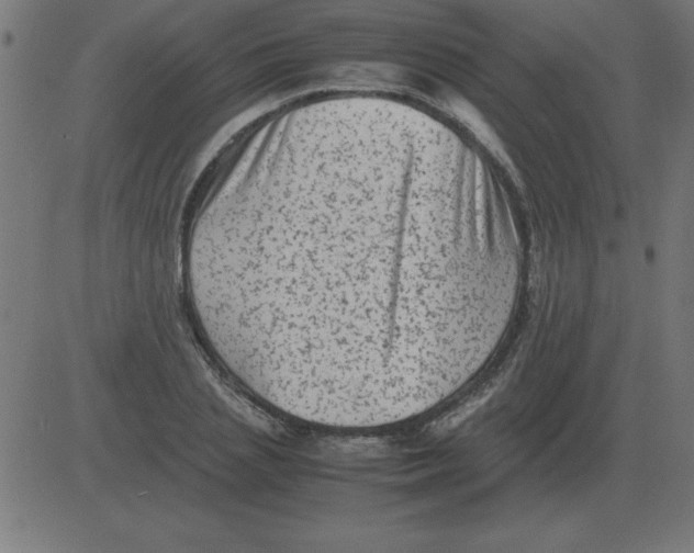 X0000081350837200702020112