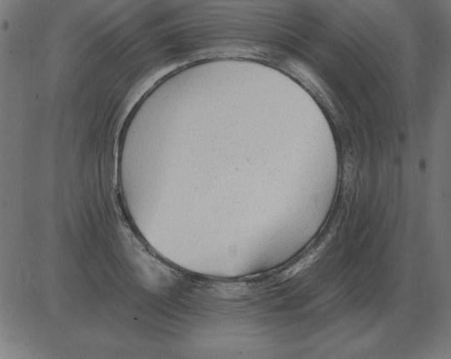 X0000081350844200702020112