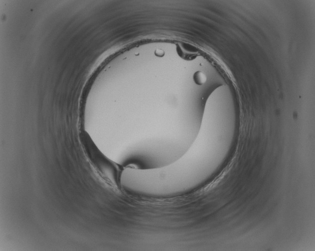 X0000081350845200702020112