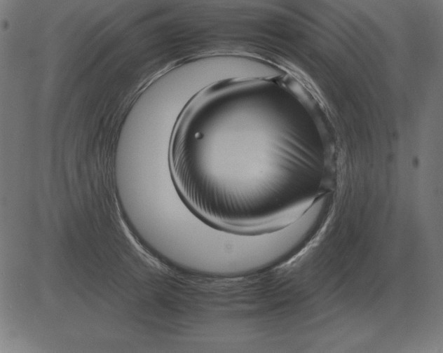 X0000081350849200702020112