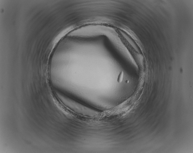 X0000081350850200702020112