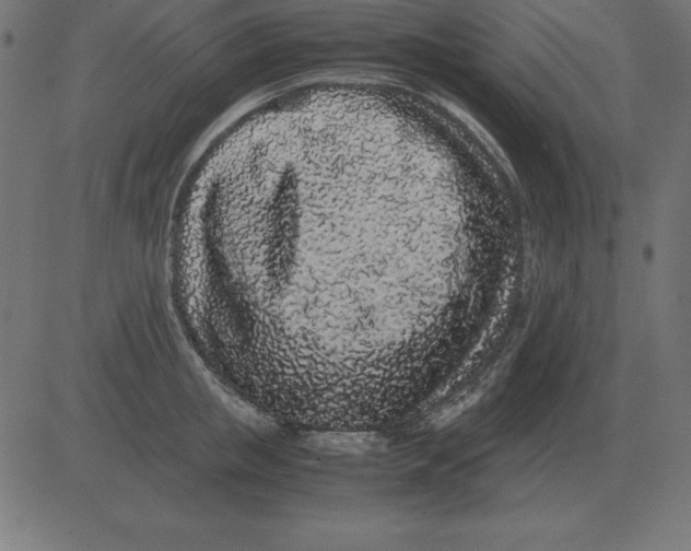 X0000081350853200702020113