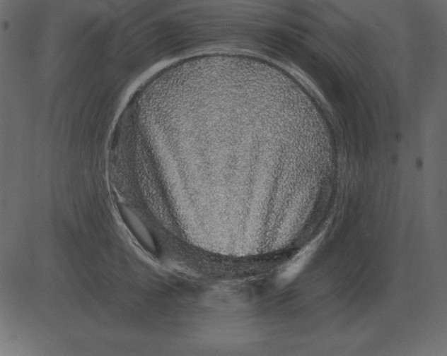X0000081350854200702020113