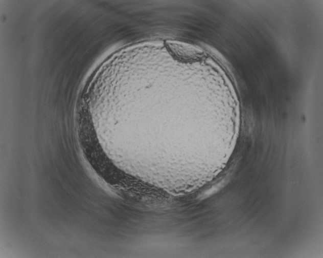 X0000081350859200702020113
