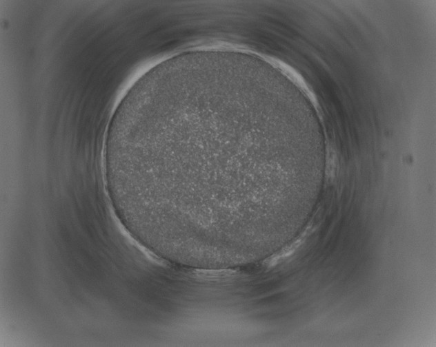 X0000081350863200702020113