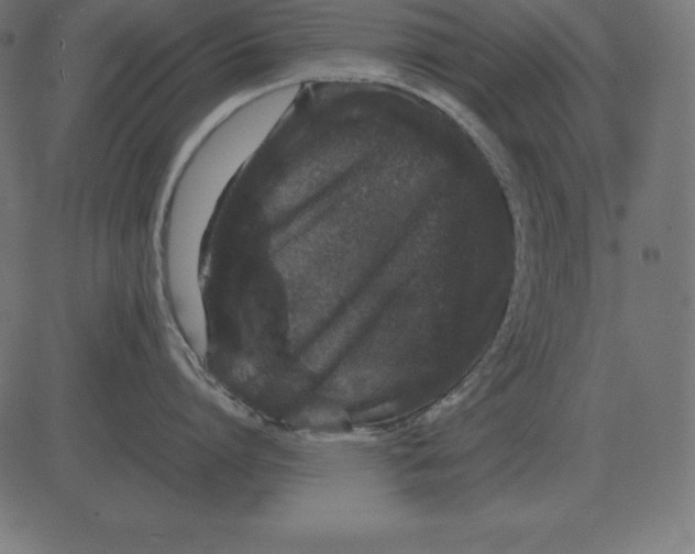 X0000081350864200702020113