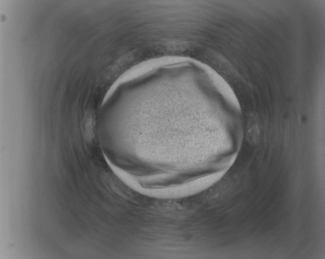 X0000081350866200702020112
