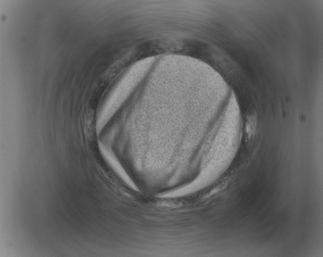 X0000081350867200702020112