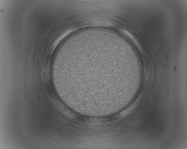 X0000081350875200702020112