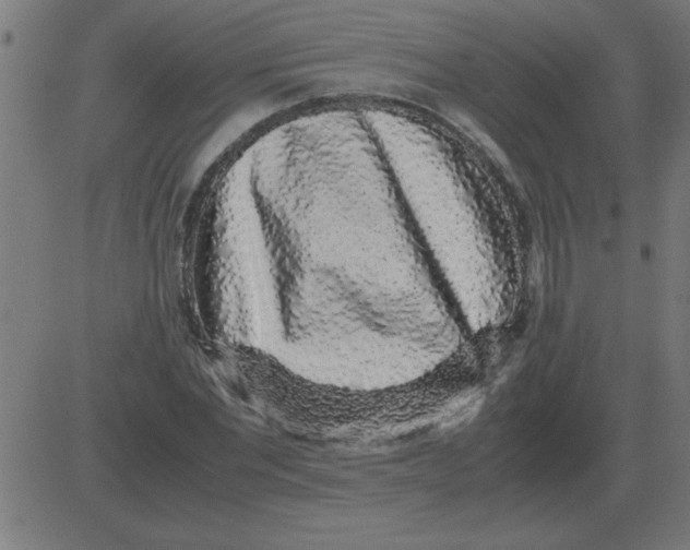 X0000081350877200702020112