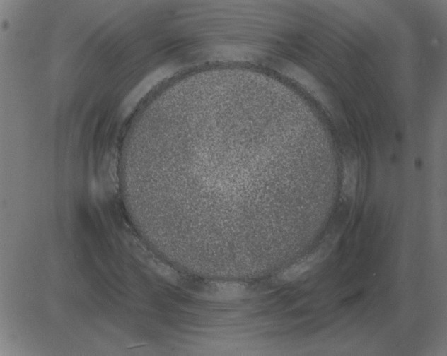 X0000081350878200702020112