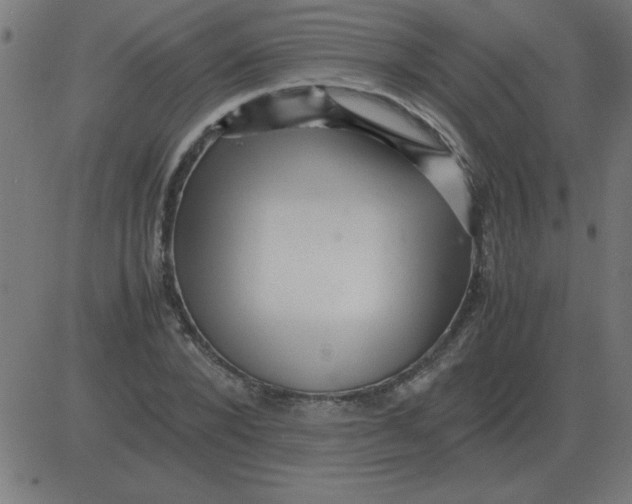 X0000081350880200702020112
