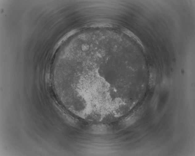 X0000081350882200702020112